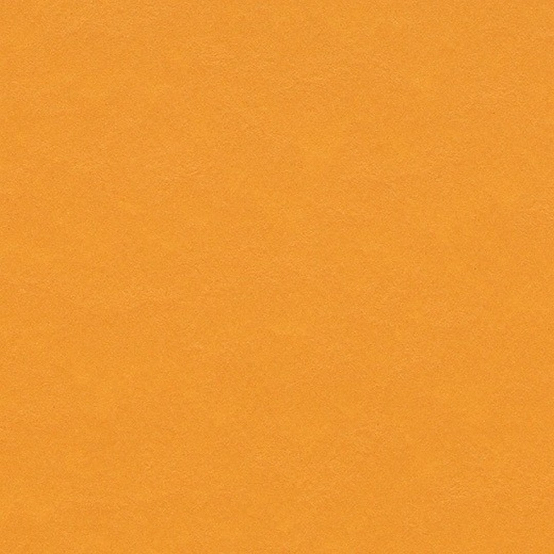 Forbo Marmoleum Modular Color Smooth Vinyl Tile 19.69" x 19.69"