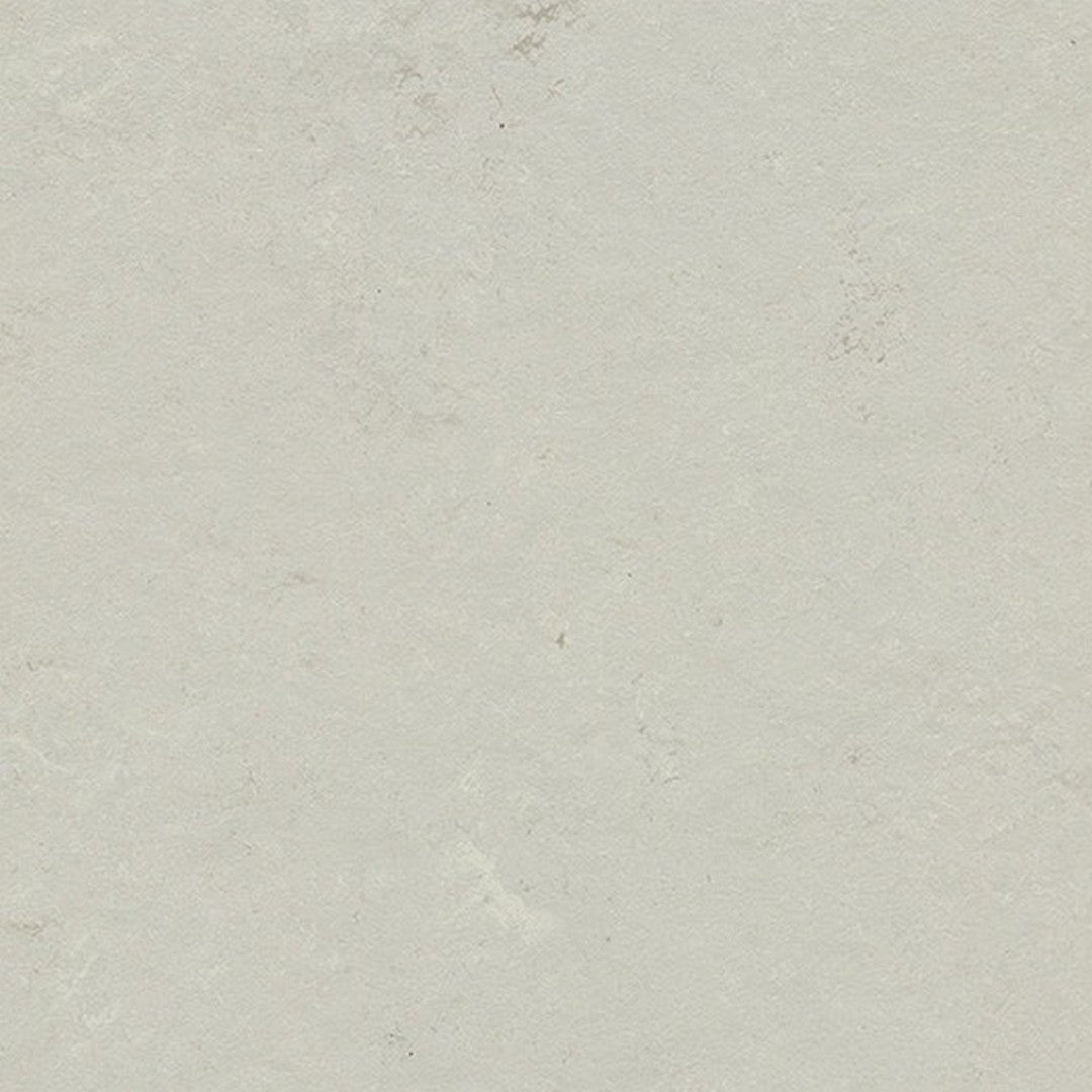 Forbo Marmoleum Modular Shade 19.69" x 19.69" Smooth Vinyl Tile