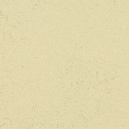 Forbo Marmoleum Modular Shade Smooth Vinyl Tile 9.8" x 19.69"