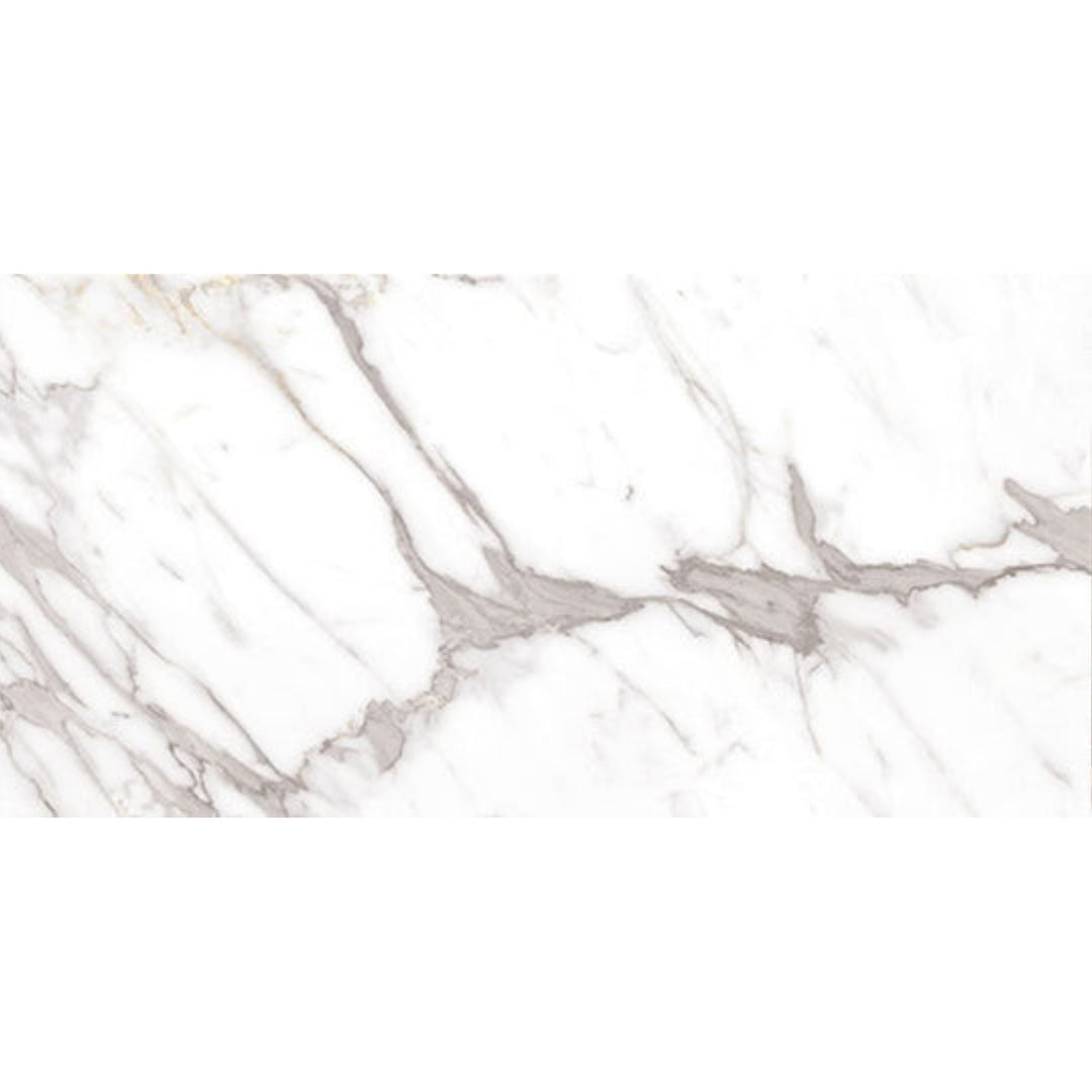 Daltile RevoTile-Marble Look 12" x 24" Matte