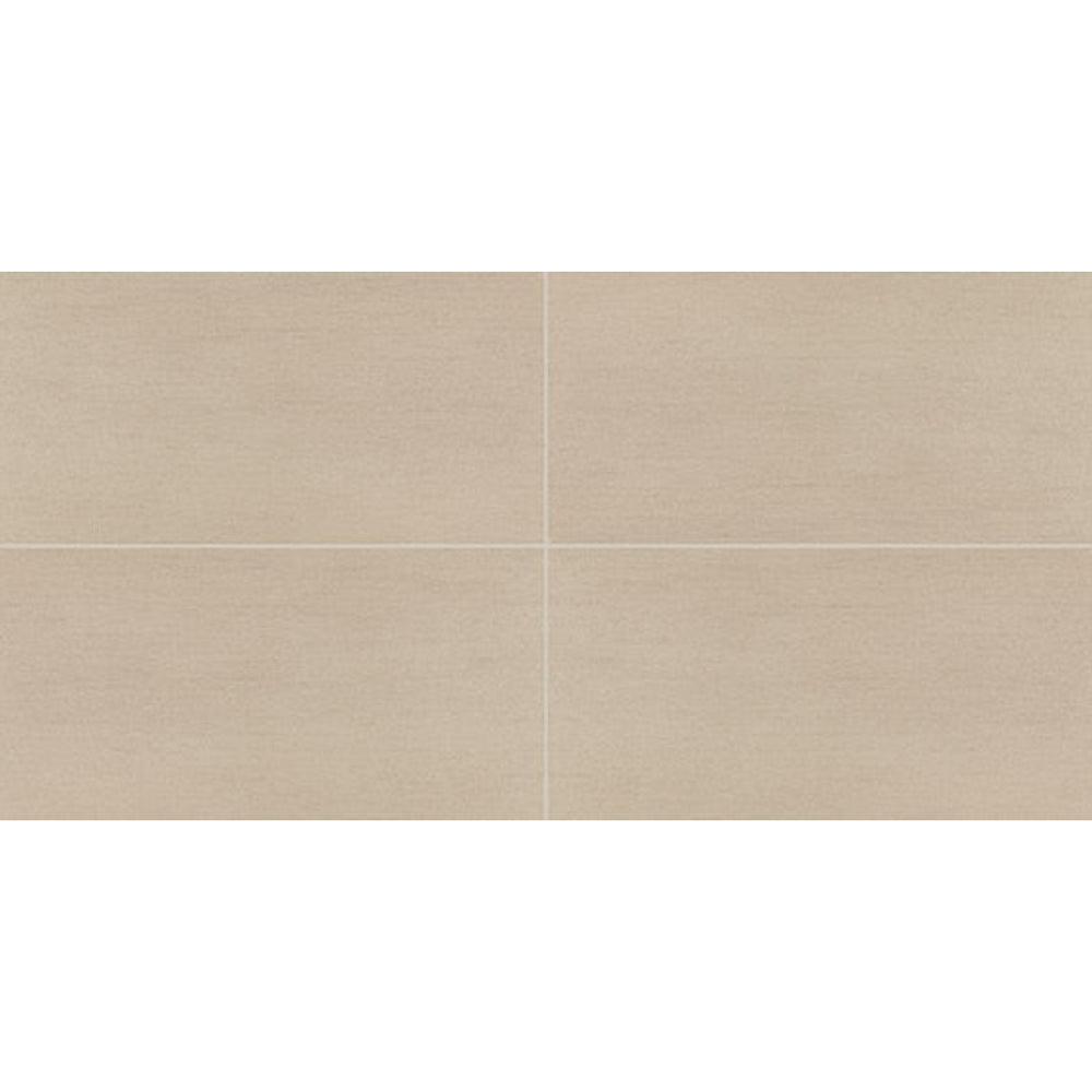 Daltile Synchronic 12" x 24" Matte