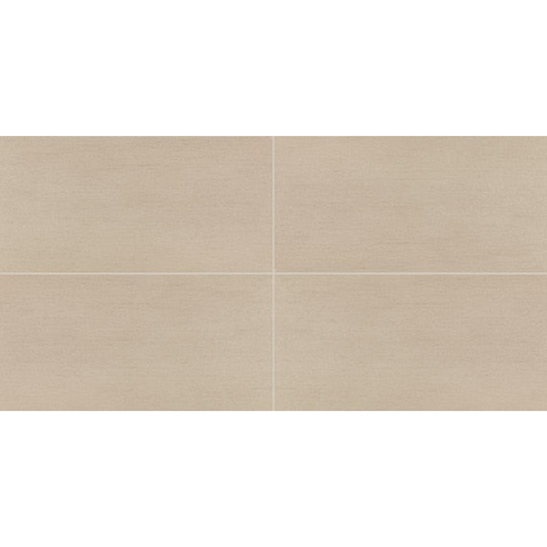 Daltile Synchronic 12" x 24" Matte