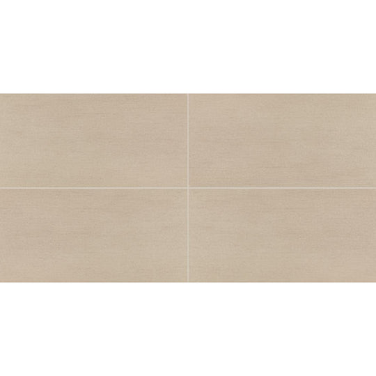 Daltile Synchronic 12" x 24" Matte