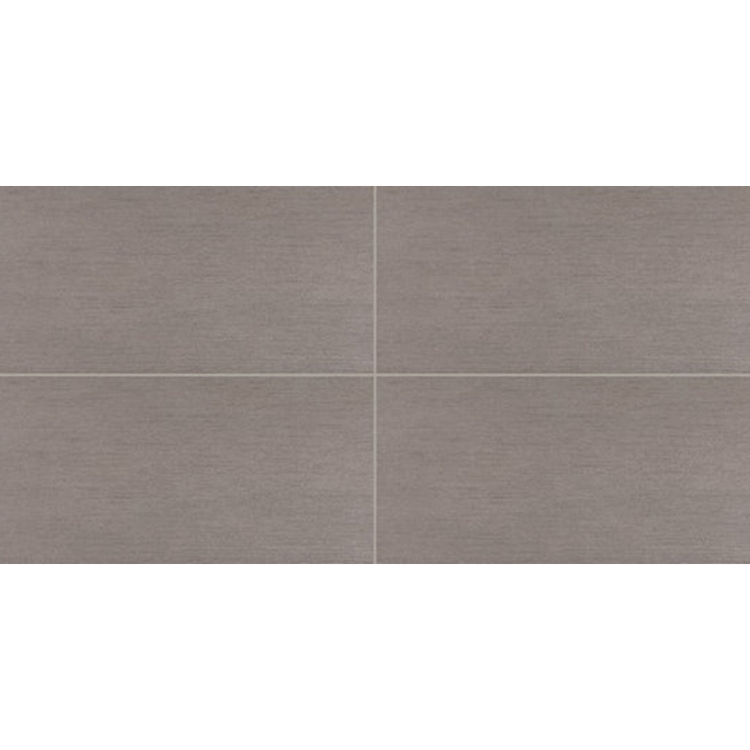 Daltile Synchronic 12" x 24" Matte