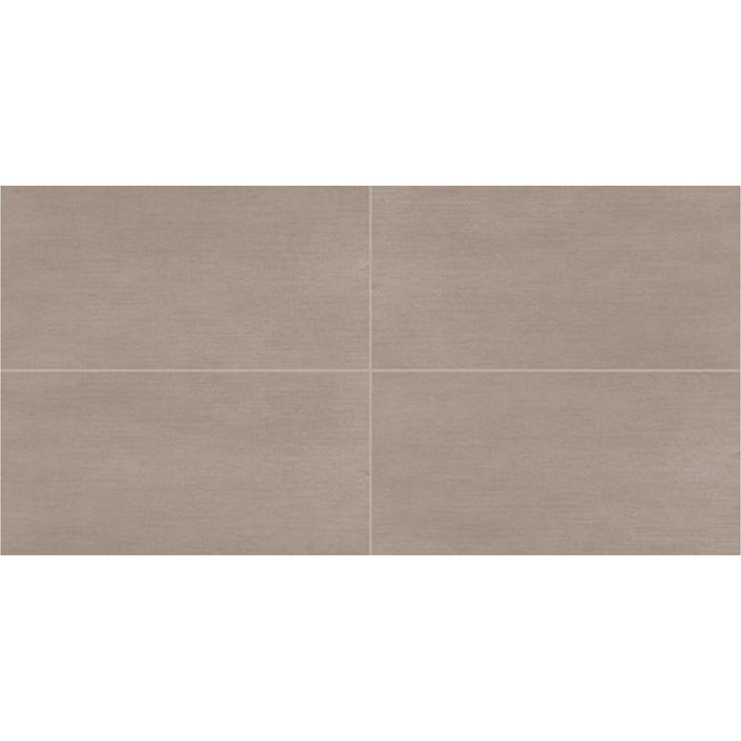 Daltile Synchronic 12" x 24" Matte