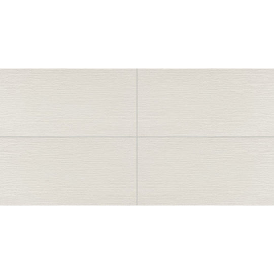 Daltile Synchronic 12" x 24" Matte