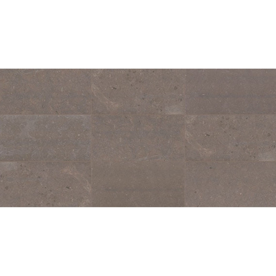 Daltile Parksville Stone 12" x 24" Honed