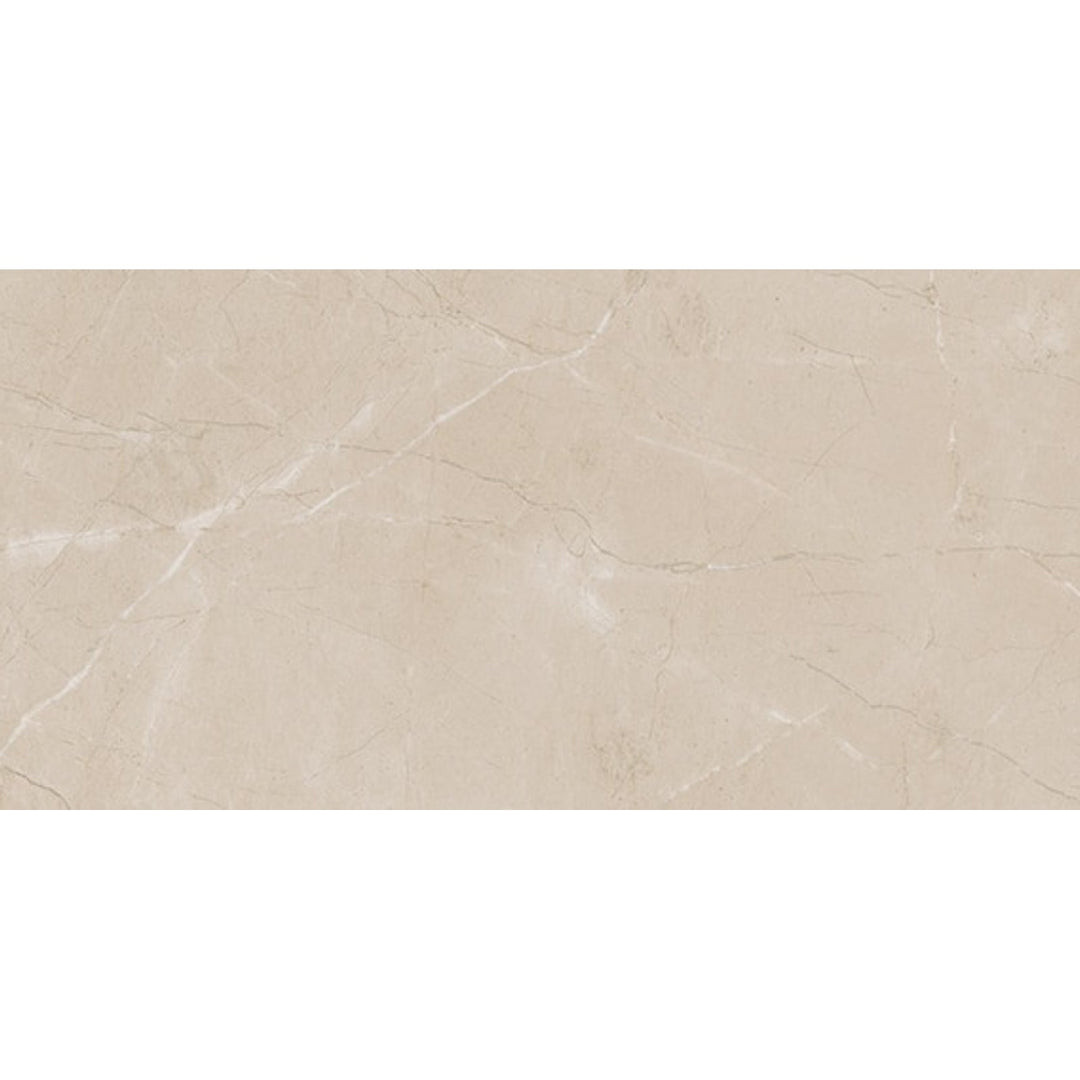 Daltile Perpetuo 12" x 24" Matte