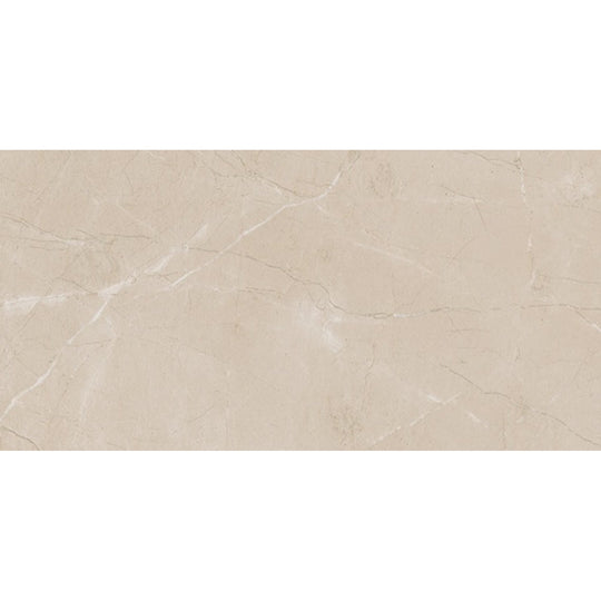 Daltile Perpetuo 12" x 24" Matte