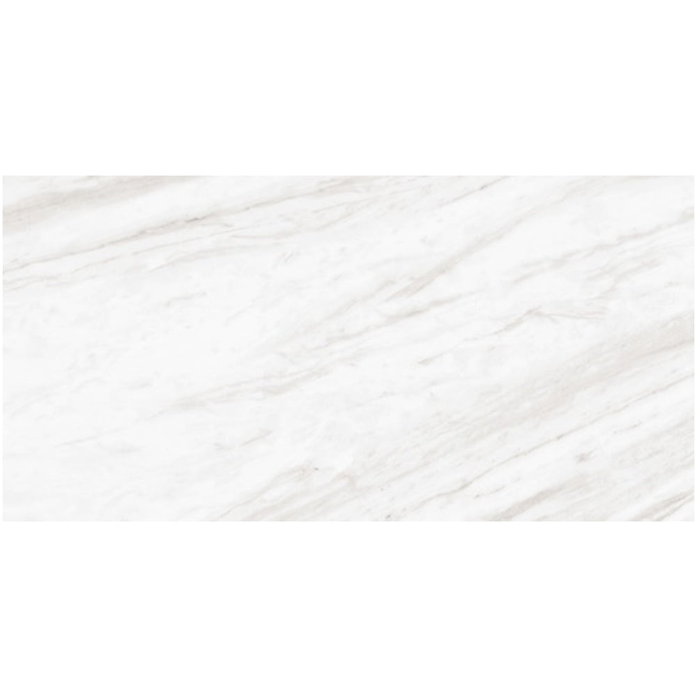 Daltile Perpetuo 12" x 24" Polished