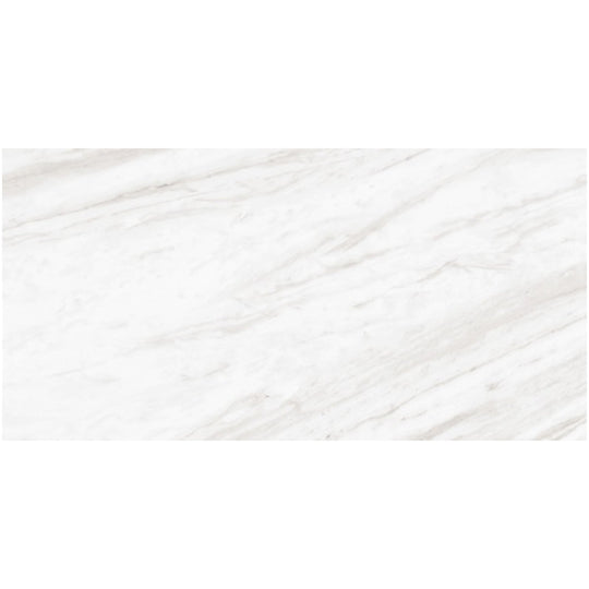 Daltile Perpetuo 12" x 24" Polished