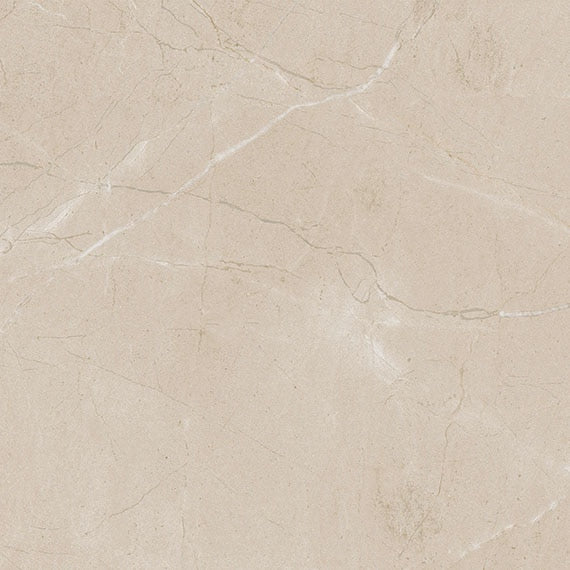 Daltile Perpetuo 12" x 12" Polished
