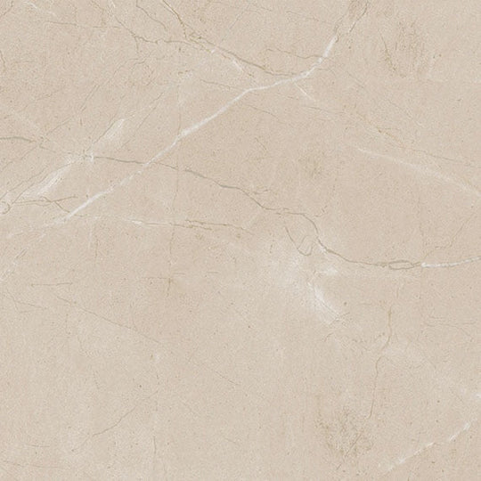 Daltile Perpetuo 24" x 24" Polished