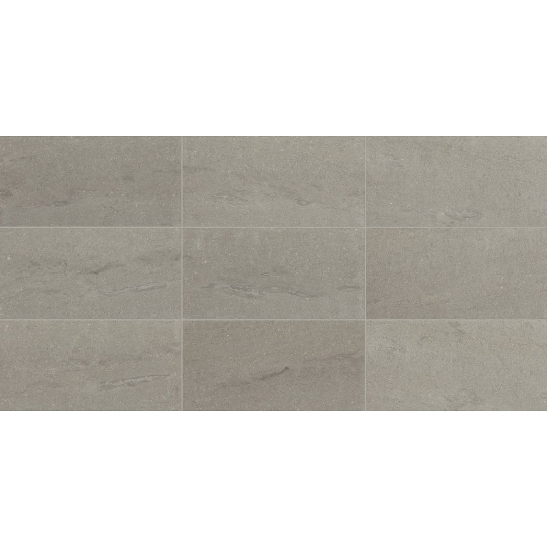 Daltile Raine 12" x 24" Honed